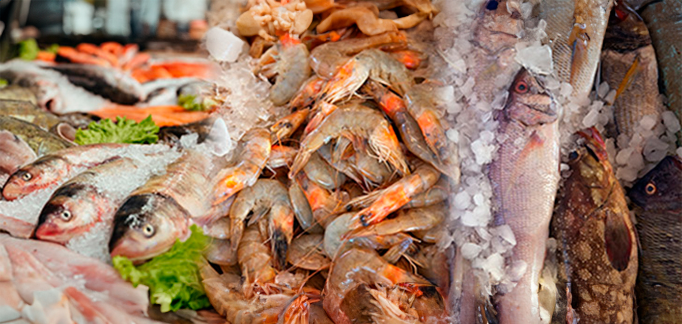 control-calidad-alimentos control-calidad-alimentos