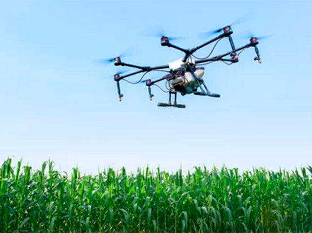 proceso-agroalimentarios