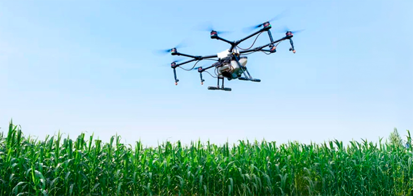 proceso-agroalimentarios